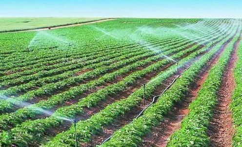 肏肏逼逼农田高 效节水灌溉